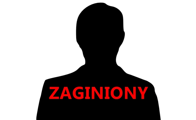 Zaginiony w akcji: Infinite Worlds Online