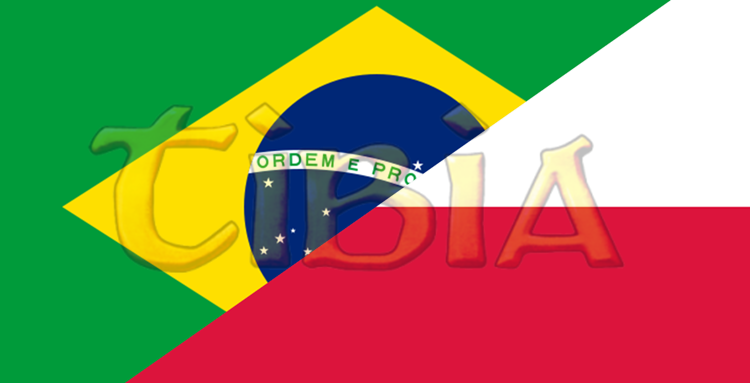 Brazylijczycy dostaną własne serwery w Tibii. Następni mogą być Polacy