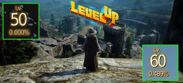 50 level w Black Desert można wbić w 23 minuty. 60 level… w 12 dni 